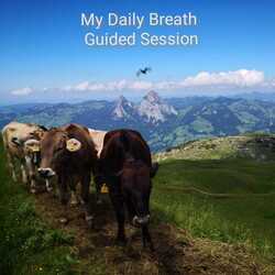 Let Danielle support your home practice with a guided audio recorded in Nature from the Alps.
16 minutes (Guidance in and out with a 10 min breathing practice).
Price: 15.- 